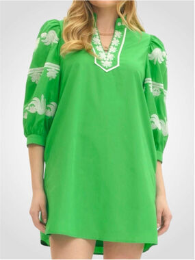 Entro 3/4 Sleeve Embroidered Mini Dress in Green Size S